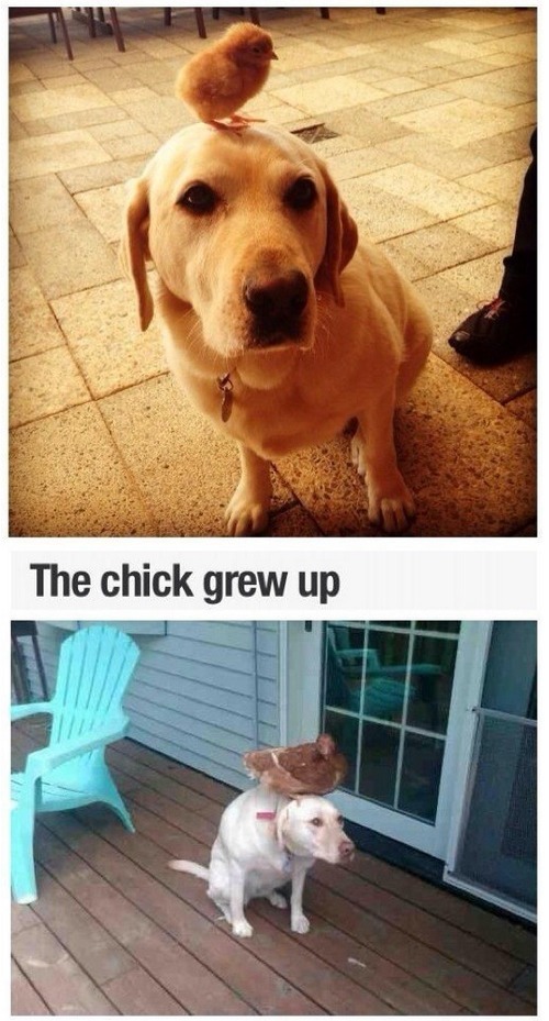 호의가 계속되면 | 인스티즈