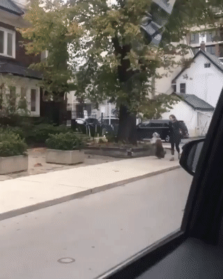 산책 나와서 신남 | 인스티즈