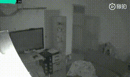 고양이가 영물이라 불리는 이유.....gif | 인스티즈