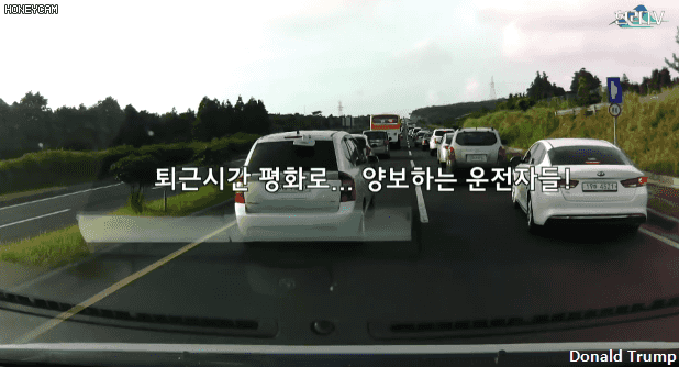 우리나라 시민의식 수준 ㅉㅉ.gif | 인스티즈