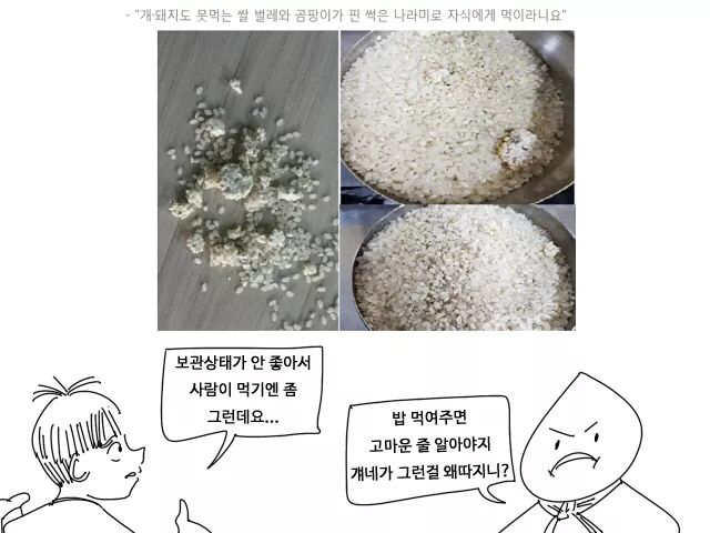 잉여쌀을 해결하는 방법 | 인스티즈