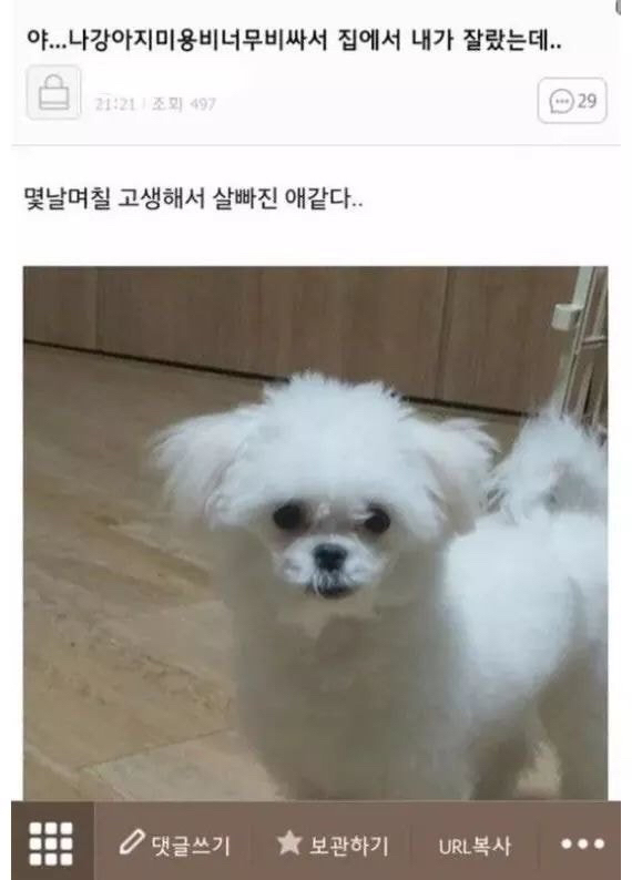 ??: 코팩 이렇게 하는거 맞아? | 인스티즈