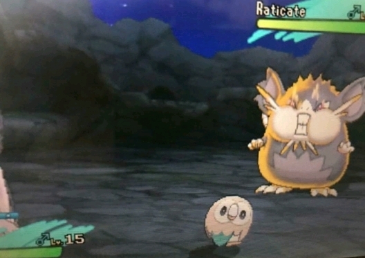 주인님 재 진짜 때려요?? | 인스티즈