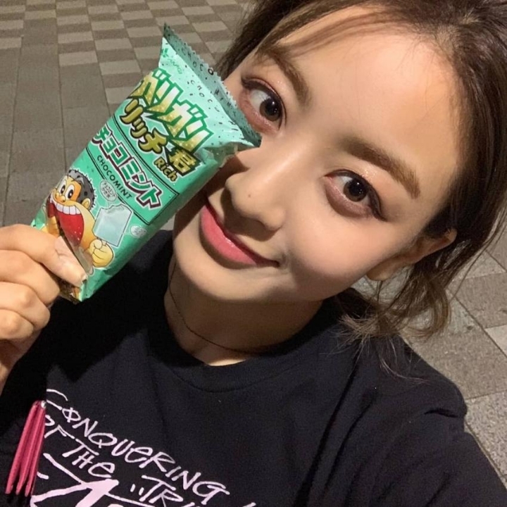 연예인 민트초코파vs반민초파 .jpg | 인스티즈