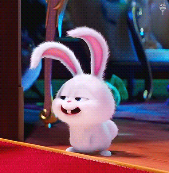 마이펫의 이중생활에서 핵귀여운 스노우볼.gif | 인스티즈