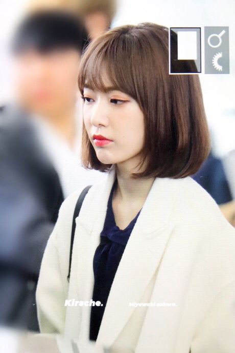아이즈원 사쿠라 | 인스티즈
