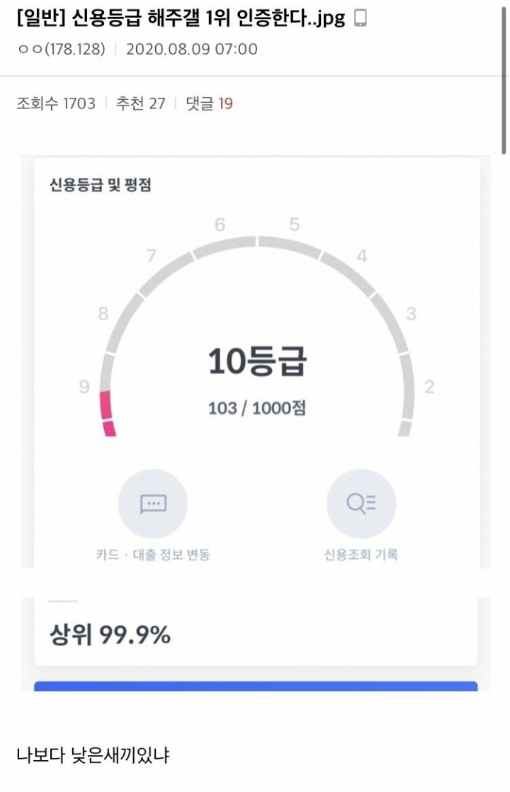 디씨에 올라 온 대한민국 신용도 0.1% | 인스티즈
