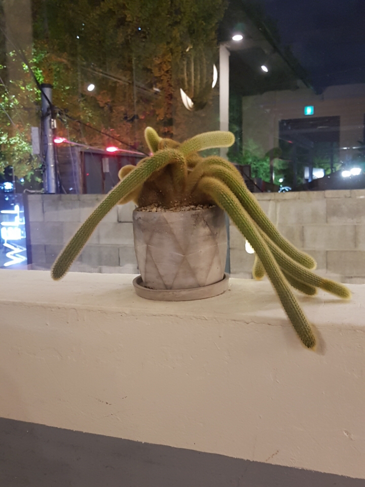 루시우 코스프레 올타임 레전드 | 인스티즈