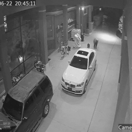 킥보드가 위험한 이유.gif | 인스티즈