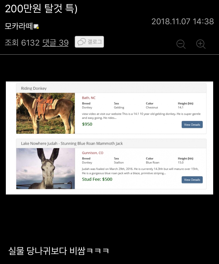 로스트아크 200만원짜리 탈것... 디씨 반응...jpg | 인스티즈