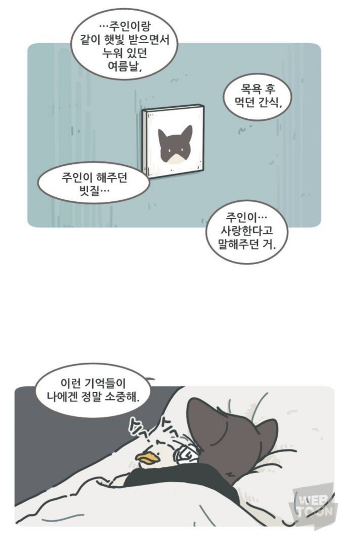 병원에서 죽음을 맞이한 고양이와 마지막을 지키지 못한 주인 | 인스티즈