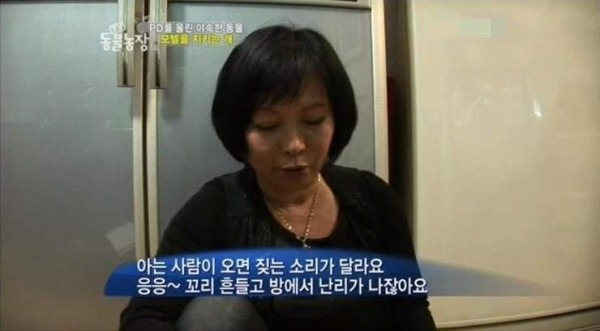 모텔 단골을 알아보는 멍멍이...jpg | 인스티즈