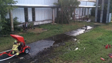 꼬부기 대 파이리 | 인스티즈