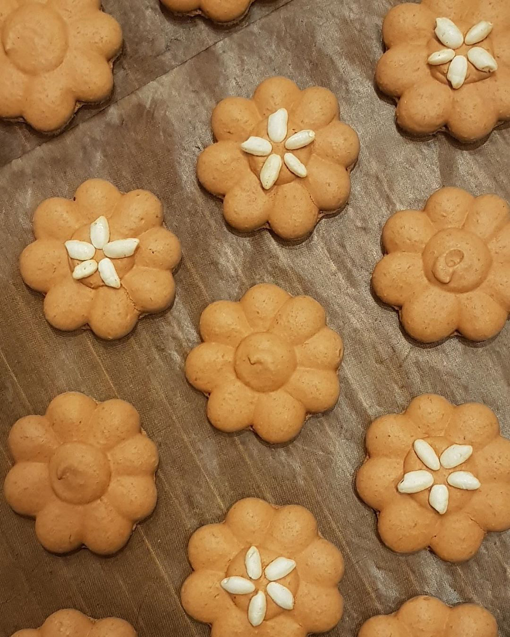 한국의 마카롱.jpg | 인스티즈