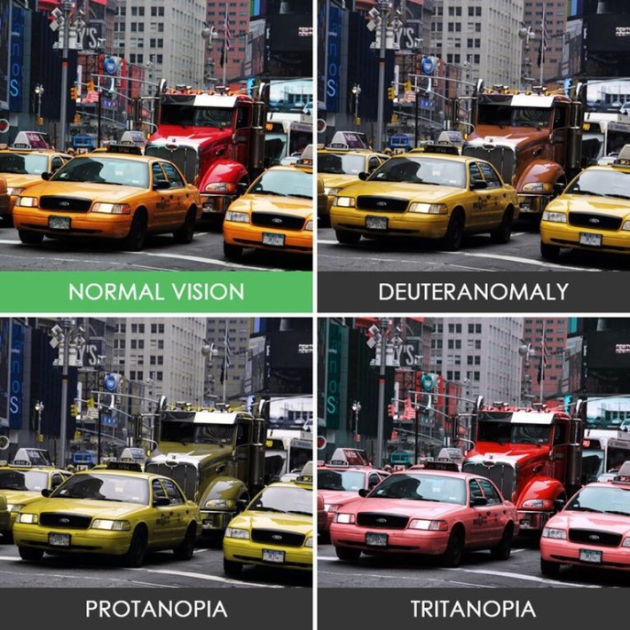 색맹이 보는 세상 | 인스티즈