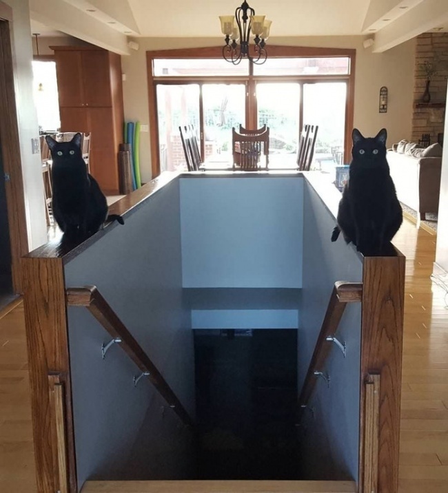 ???: 지하에서 주인님이 기다리고 계신다 | 인스티즈