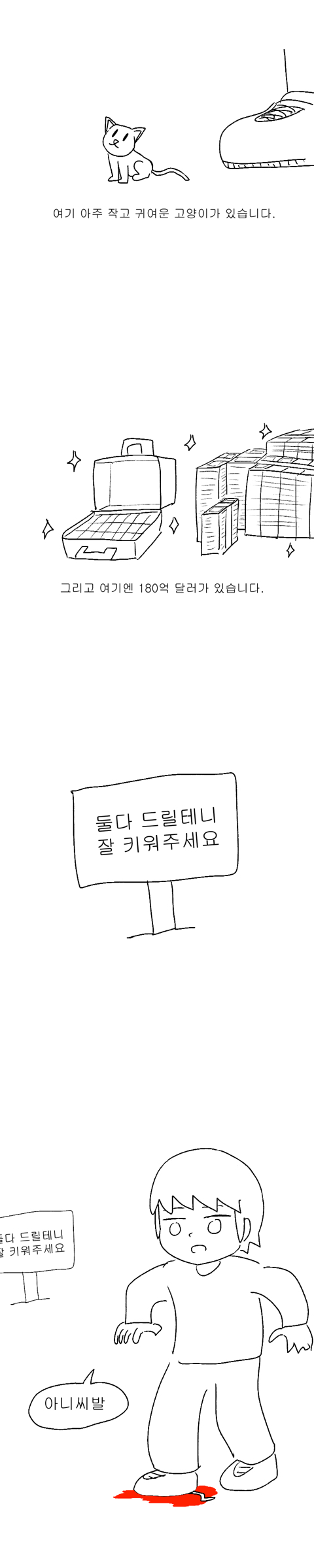 180억 달러를 준다면 이 고양이를 | 인스티즈