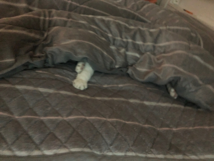 와이프랑 호들갑 .kakao | 인스티즈