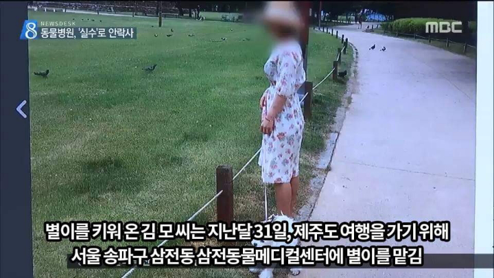 반려견 최악의 사건.jpg | 인스티즈