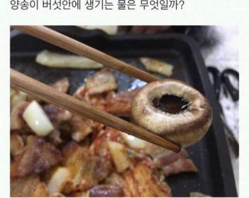 양송이 버섯안에 생기는 물은 무엇일까 .JPG | 인스티즈
