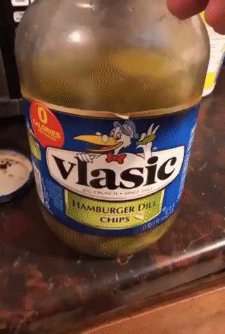 귀여운 동물 모음 | 인스티즈