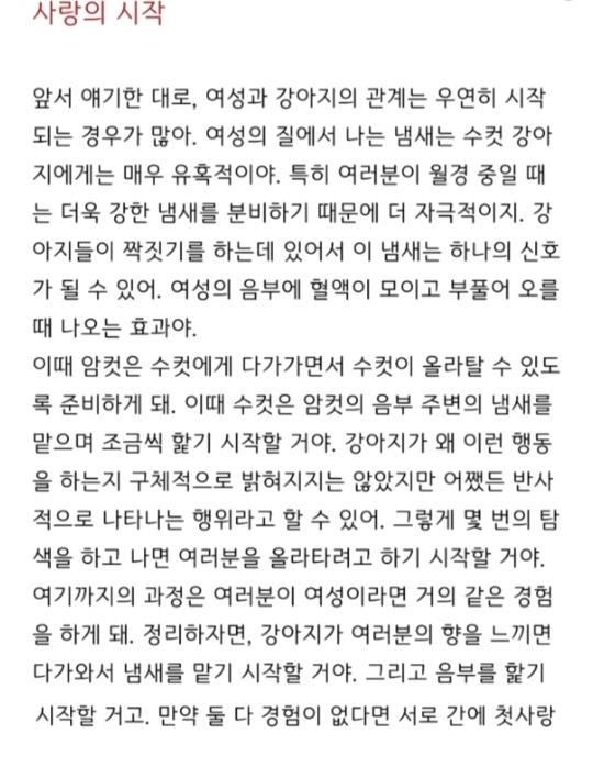 페미니스트와 반려견의 안전한 성 | 인스티즈