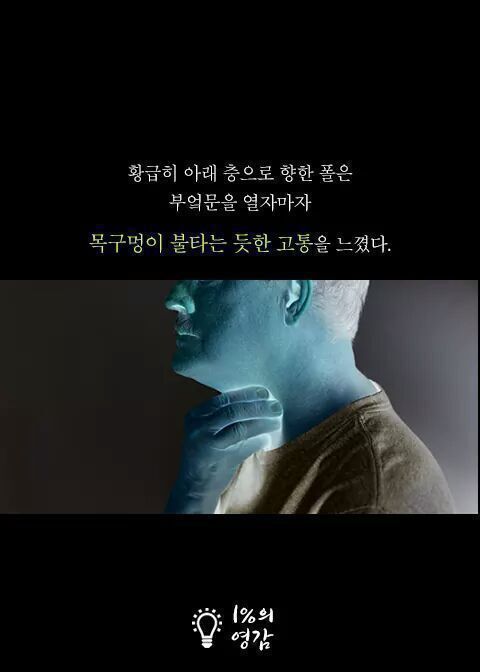 안내견이 짖은이유 | 인스티즈