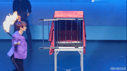 마술도중 갑분싸 | 인스티즈