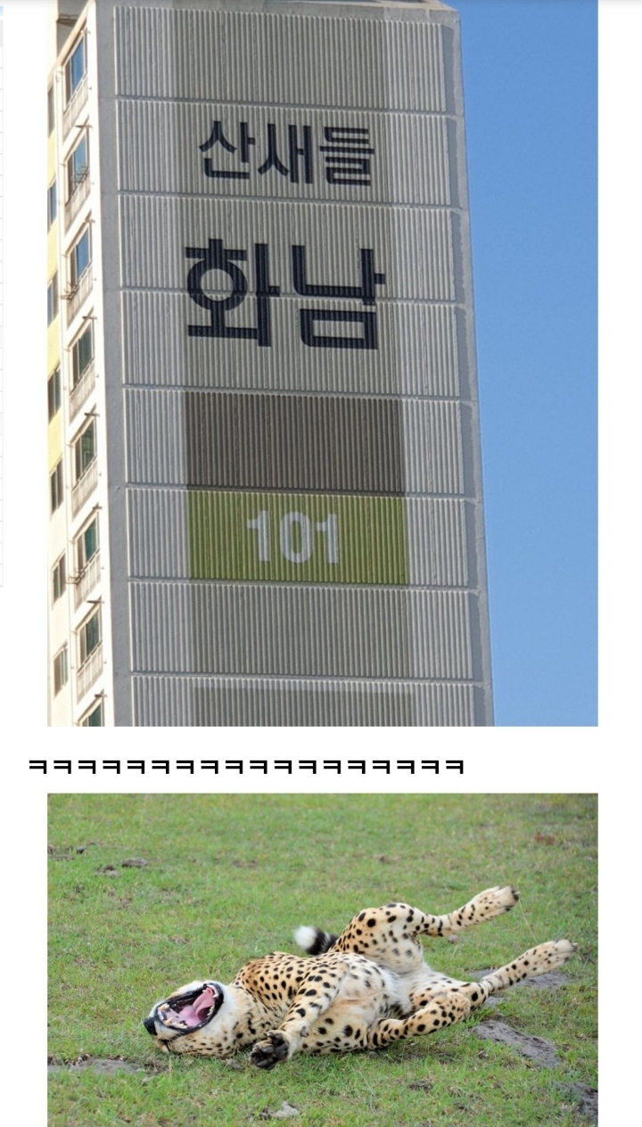 산에서 떠들면 안되는 이유 | 인스티즈