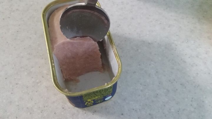 자취생 스팸구이의 정석이라는데 정말 이렇게들 굽는지 궁금한 글 | 인스티즈