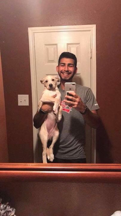 댕댕이의 1년 성장기.jpg | 인스티즈