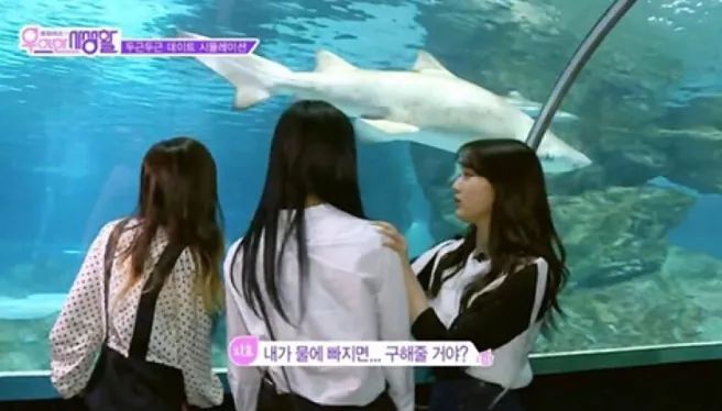 단호박 아이돌 | 인스티즈