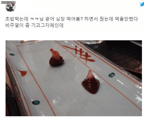 광어 심장회 (혐오주의) | 인스티즈