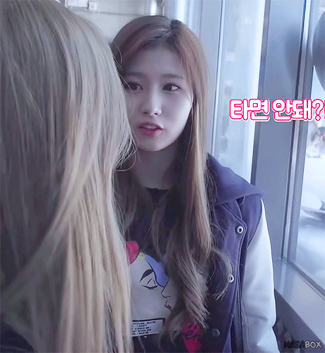 먹이를 노리는 사나 | 인스티즈