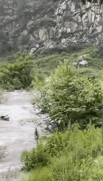 패기있게 지나가는 오토바이와 그저 바라보는 차.gif | 인스티즈