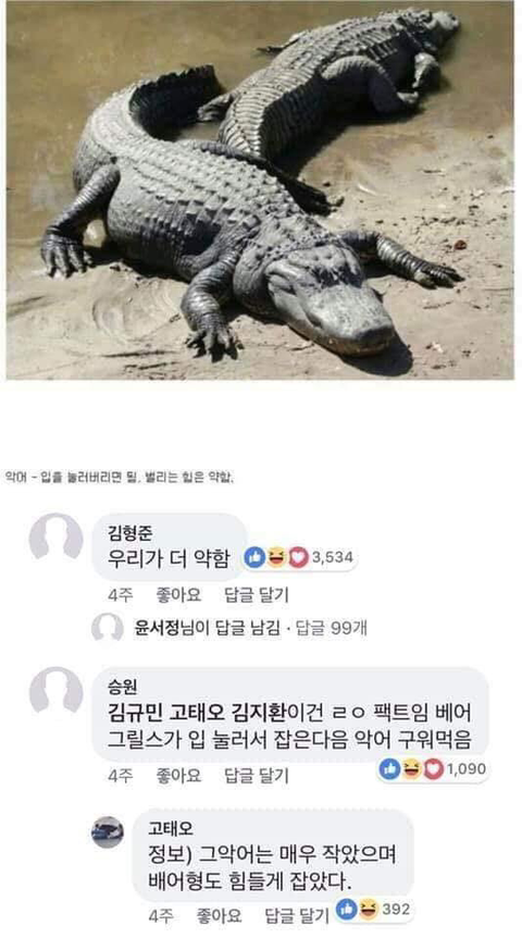 동물과 싸워서 이기는 방법ㅋㅋㅋㅋㅋㅋㅋㅋㅋㅋㅋㅋㅋㅋㅋㅋ | 인스티즈