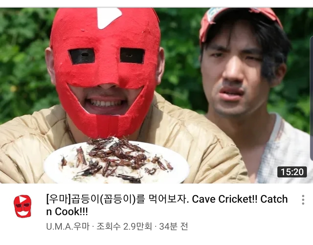 드디어 '그 벌레' 까지 먹은 유튜버 우마 | 인스티즈