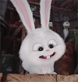 마이펫의 이중생활에서 핵귀여운 스노우볼.gif | 인스티즈