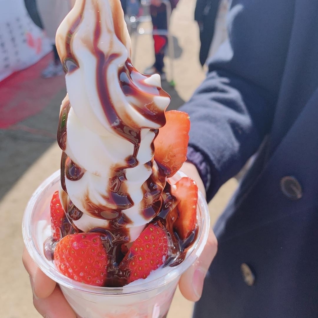 코로나 때문에 취소됐다는 논산딸기축제.......jpg | 인스티즈