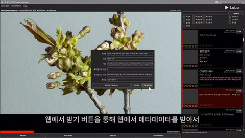 남자를 위한 동영상 재생 프로그램 | 인스티즈