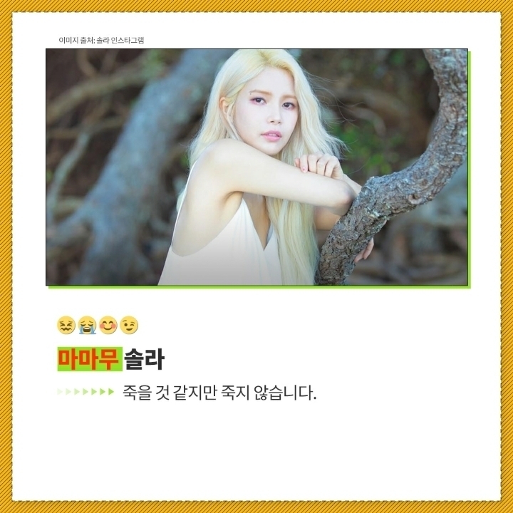 스타들의 다이어트 명언 | 인스티즈