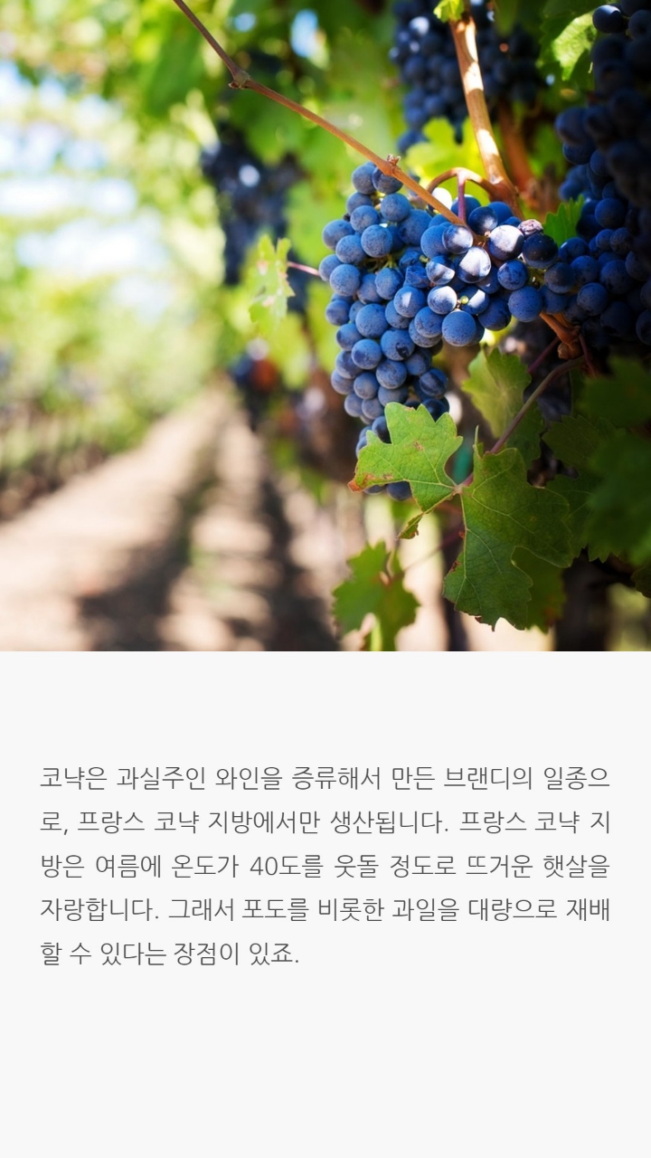 전세계적으로 인정받은 세가지술에 얽힌 이야기 | 인스티즈