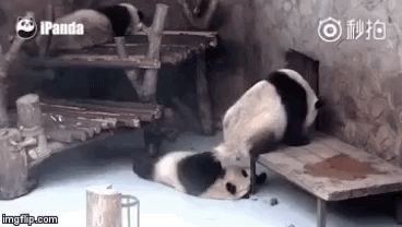 자는데 날벼락.gif | 인스티즈