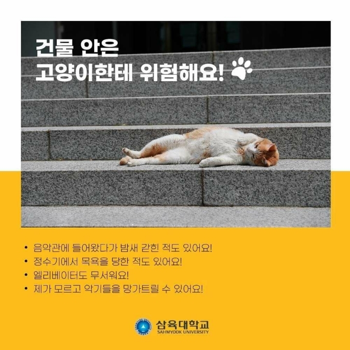 고양이 출입 금지시킨 대학교 .JPG | 인스티즈