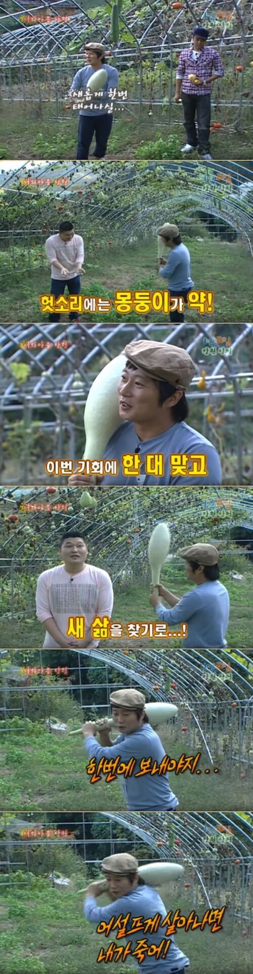 강호동을 한방에 보내야하는 이유 | 인스티즈