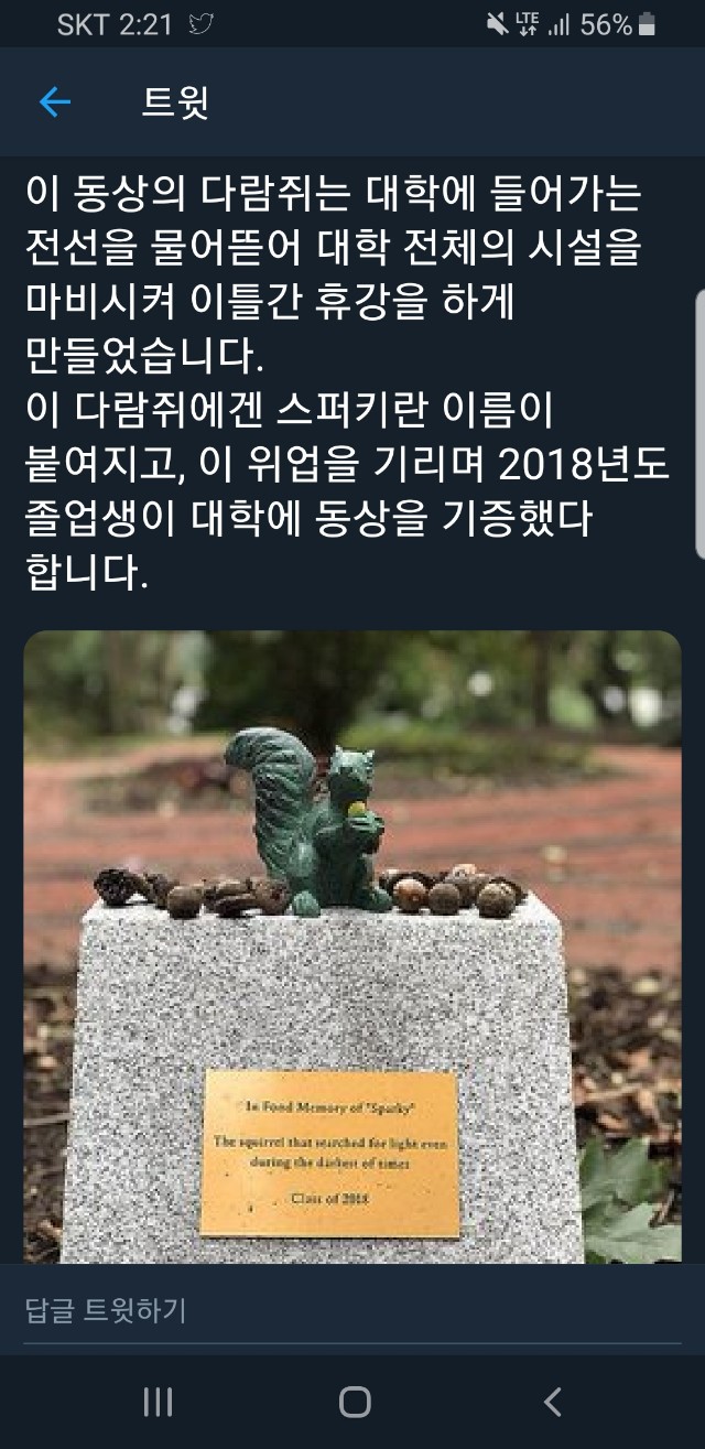 영웅이 된 다람쥐 | 인스티즈