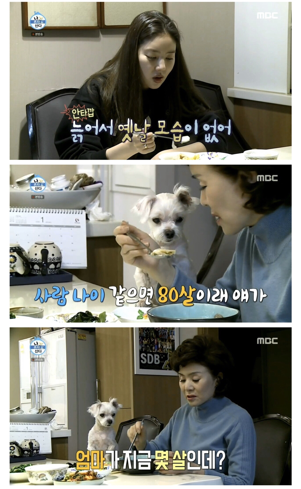 손담비가 어머니랑 같이 안사는 이유...jpg | 인스티즈