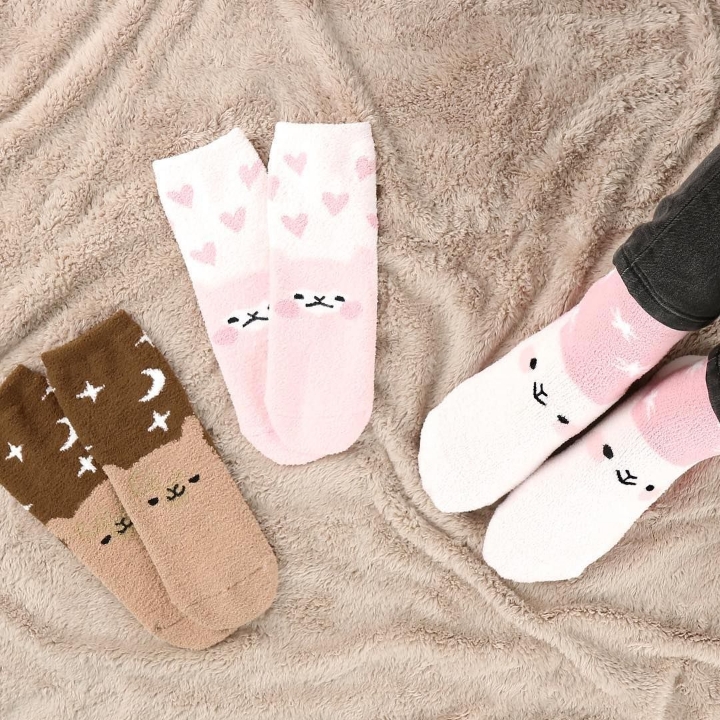 다이소 신상 알파카.....jpg | 인스티즈