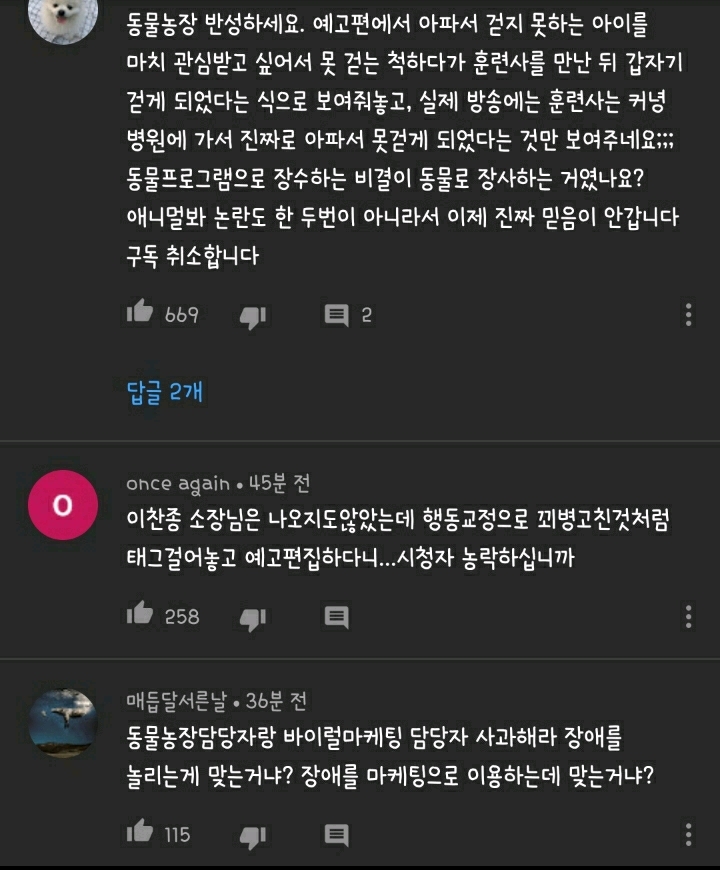현재 본방 끝나고 호돌이 / 시청자 우롱 으로 논란 중인 동물농장 | 인스티즈