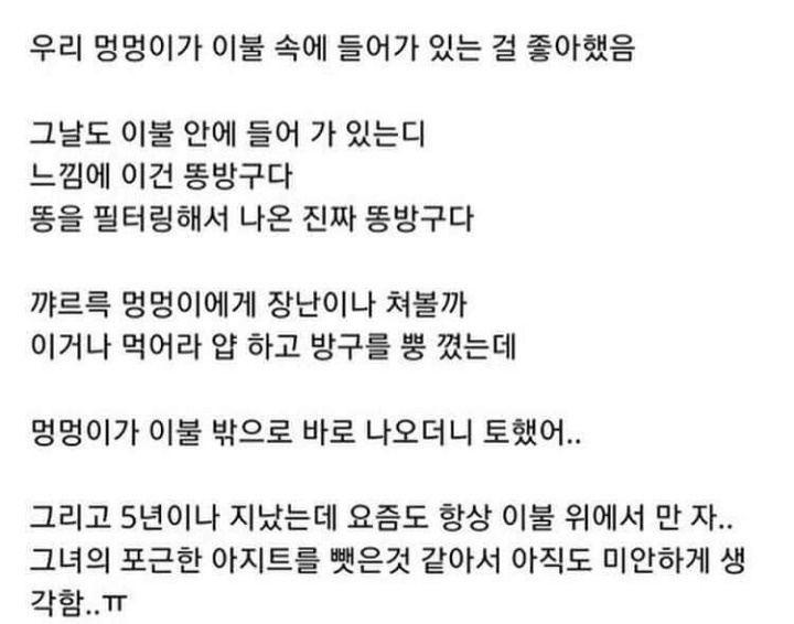 댕댕이한테 방귀먹인 주인 | 인스티즈